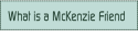 What is a McKenzie Friend.